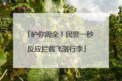 护你周全！民警一秒反应拦截飞落行李