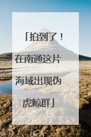 拍到了！在南通这片海域出现伪虎鲸群