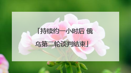持续约一小时后 俄乌第二轮谈判结束