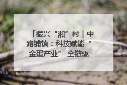 振兴“湘”村｜中路铺镇：科技赋能“金蛋产业” 全链驱动乡村振兴