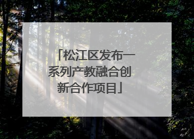 松江区发布一系列产教融合创新合作项目