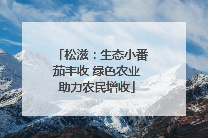 松滋：生态小番茄丰收 绿色农业助力农民增收