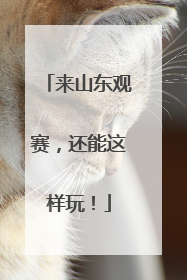 来山东观赛，还能这样玩！