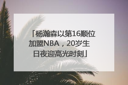 杨瀚森以第16顺位加盟NBA，20岁生日夜迎高光时刻
