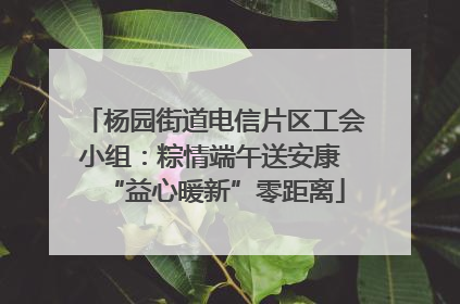 杨园街道电信片区工会小组：粽情端午送安康 “益心暖新”零距离