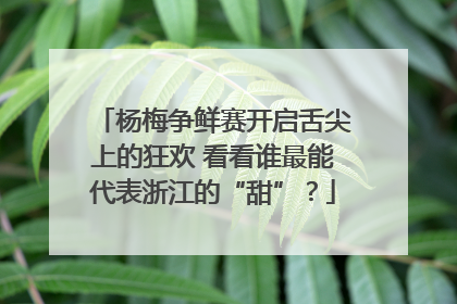 杨梅争鲜赛开启舌尖上的狂欢 看看谁最能代表浙江的“甜”？