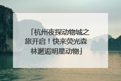 杭州夜探动物城之旅开启！快来荧光森林邂逅明星动物