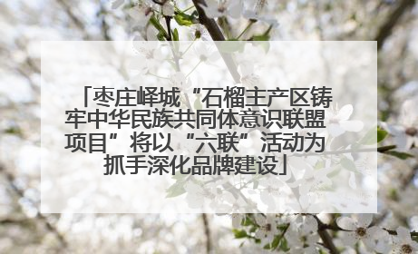枣庄峄城“石榴主产区铸牢中华民族共同体意识联盟项目”将以“六联”活动为抓手深化品牌建设