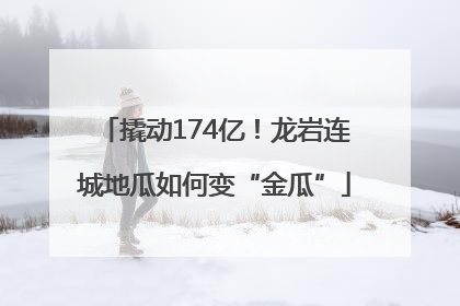 撬动174亿！龙岩连城地瓜如何变“金瓜”
