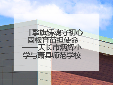 擎旗铸魂守初心 固根育苗担使命——天长市炳辉小学与萧县师范学校附属小学结对共建活动纪实