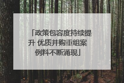 政策包容度持续提升 优质并购重组案例料不断涌现