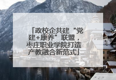 政校企共建“党建+康养”联盟，枣庄职业学院打造产教融合新范式