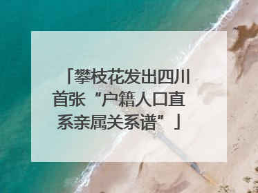 攀枝花发出四川首张“户籍人口直系亲属关系谱”
