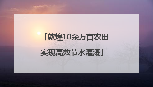敦煌10余万亩农田实现高效节水灌溉