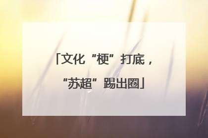 文化“梗”打底，“苏超”踢出圈