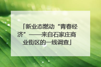 新业态燃动“青春经济”——来自石家庄商业街区的一线调查