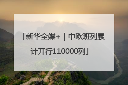 新华全媒+｜中欧班列累计开行110000列