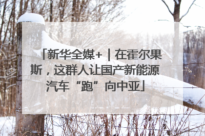 新华全媒+｜在霍尔果斯，这群人让国产新能源汽车“跑”向中亚