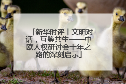 新华时评丨文明对话，互鉴共生——中欧人权研讨会十年之路的深刻启示