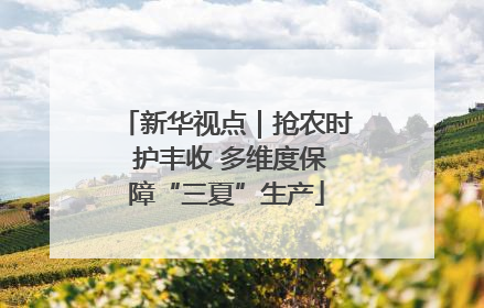 新华视点｜抢农时 护丰收 多维度保障“三夏”生产