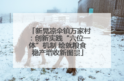 新晃凉伞镇万家村：创新实践“六位一体”机制 绘就粮食稳产增收新图景