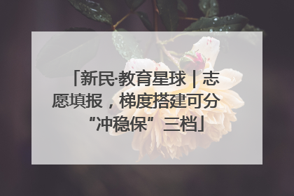 新民·教育星球｜志愿填报，梯度搭建可分“冲稳保”三档