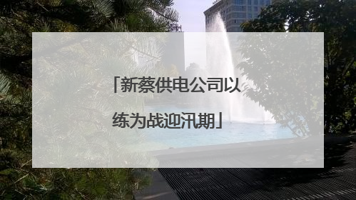 新蔡供电公司以练为战迎汛期