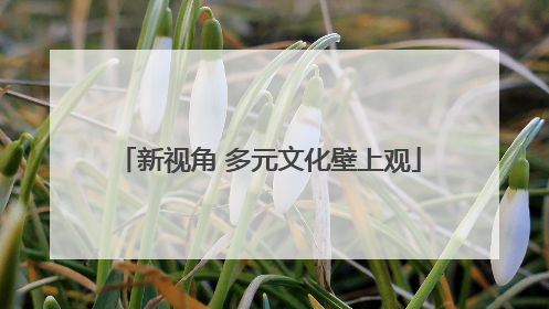 新视角 多元文化壁上观