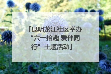 昆明龙江社区举办“六一拾趣 爱伴同行”主题活动