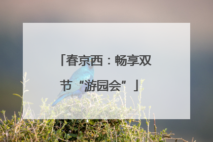 春京西：畅享双节“游园会”