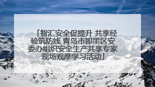 智汇安全促提升 共享经验筑防线 青岛市即墨区安委办组织安全生产共享专家现场观摩学习活动
