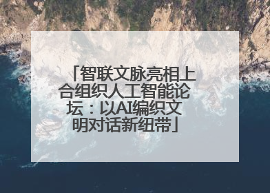 智联文脉亮相上合组织人工智能论坛：以AI编织文明对话新纽带