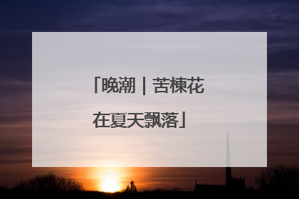晚潮｜苦楝花在夏天飘落