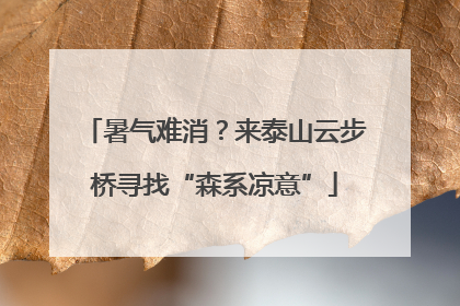 暑气难消？来泰山云步桥寻找“森系凉意”