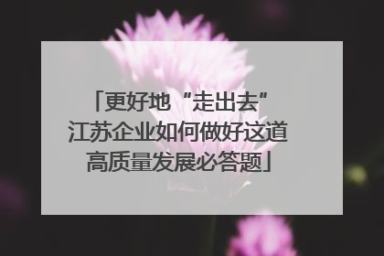 更好地“走出去” 江苏企业如何做好这道高质量发展必答题