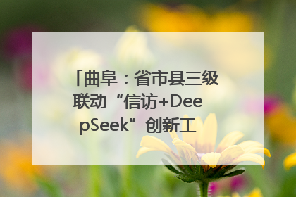 曲阜：省市县三级联动“信访+DeepSeek”创新工作新闻发布会举行