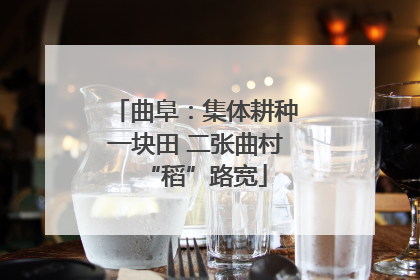 曲阜：集体耕种一块田 二张曲村“稻”路宽