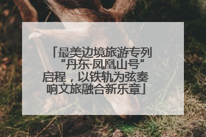 最美边境旅游专列“丹东·凤凰山号”启程，以铁轨为弦奏响文旅融合新乐章