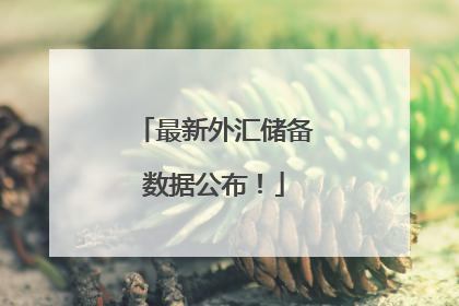 最新外汇储备数据公布！