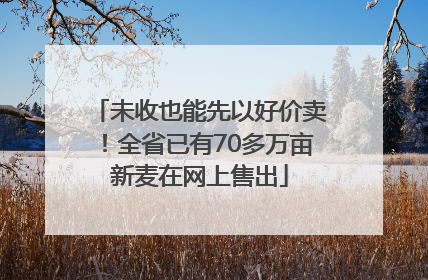 未收也能先以好价卖！全省已有70多万亩新麦在网上售出