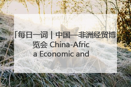 每日一词｜中国—非洲经贸博览会 China-Africa Economic and Trade Expo