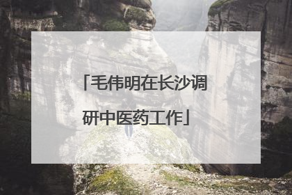 毛伟明在长沙调研中医药工作