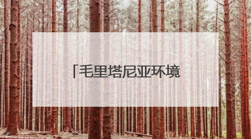 毛里塔尼亚环境部长：中非绿色合作播种非洲“绿色长城”的未来
