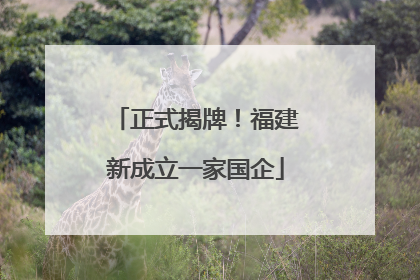 正式揭牌！福建新成立一家国企