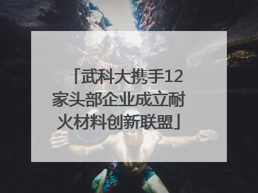 武科大携手12家头部企业成立耐火材料创新联盟