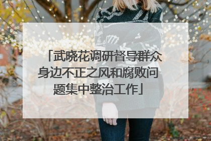 武晓花调研督导群众身边不正之风和腐败问题集中整治工作