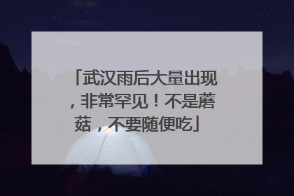 武汉雨后大量出现，非常罕见！不是蘑菇，不要随便吃