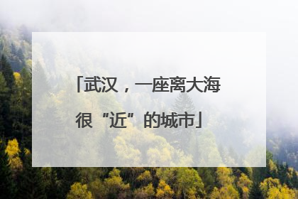武汉，一座离大海很“近”的城市