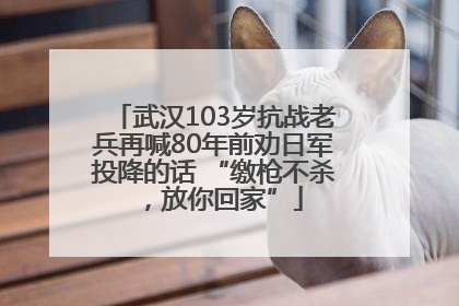 武汉103岁抗战老兵再喊80年前劝日军投降的话 “缴枪不杀，放你回家”
