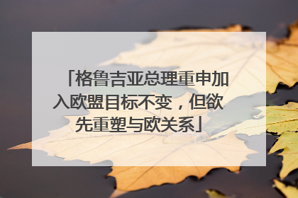 格鲁吉亚总理重申加入欧盟目标不变，但欲先重塑与欧关系
